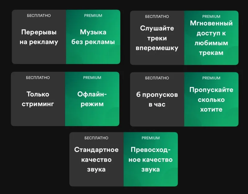 Spotify Premium — подписка на ваш аккаунт на 3, 6 или 12 месяцев