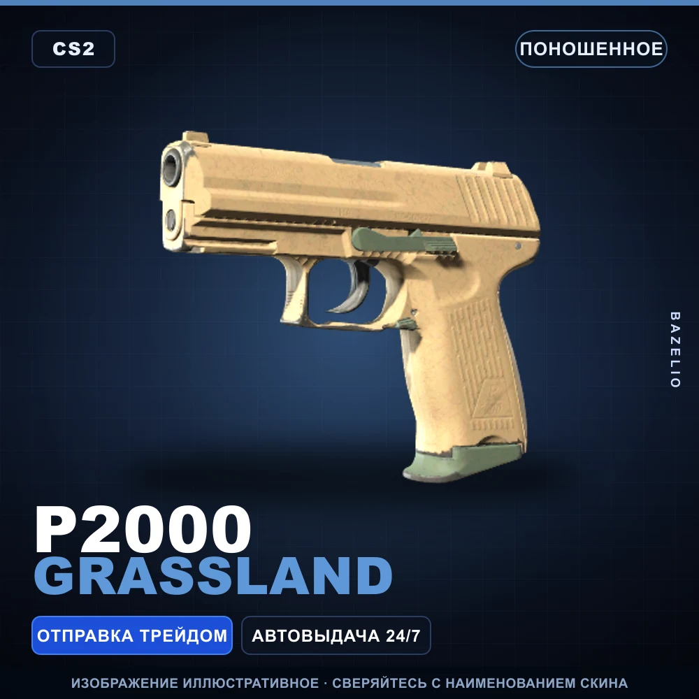 P2000 | Grassland | Well-Worn