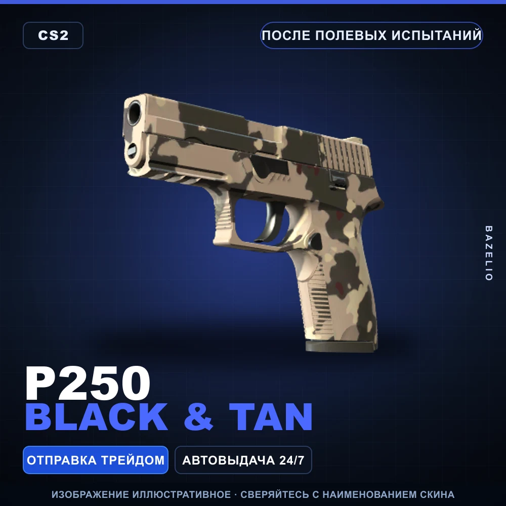 P250 | Black & Tan | После полевых испытаний