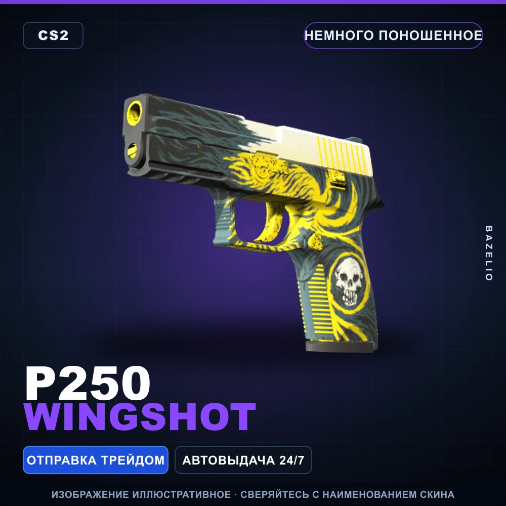 P250 | Wingshot | Немного поношенное