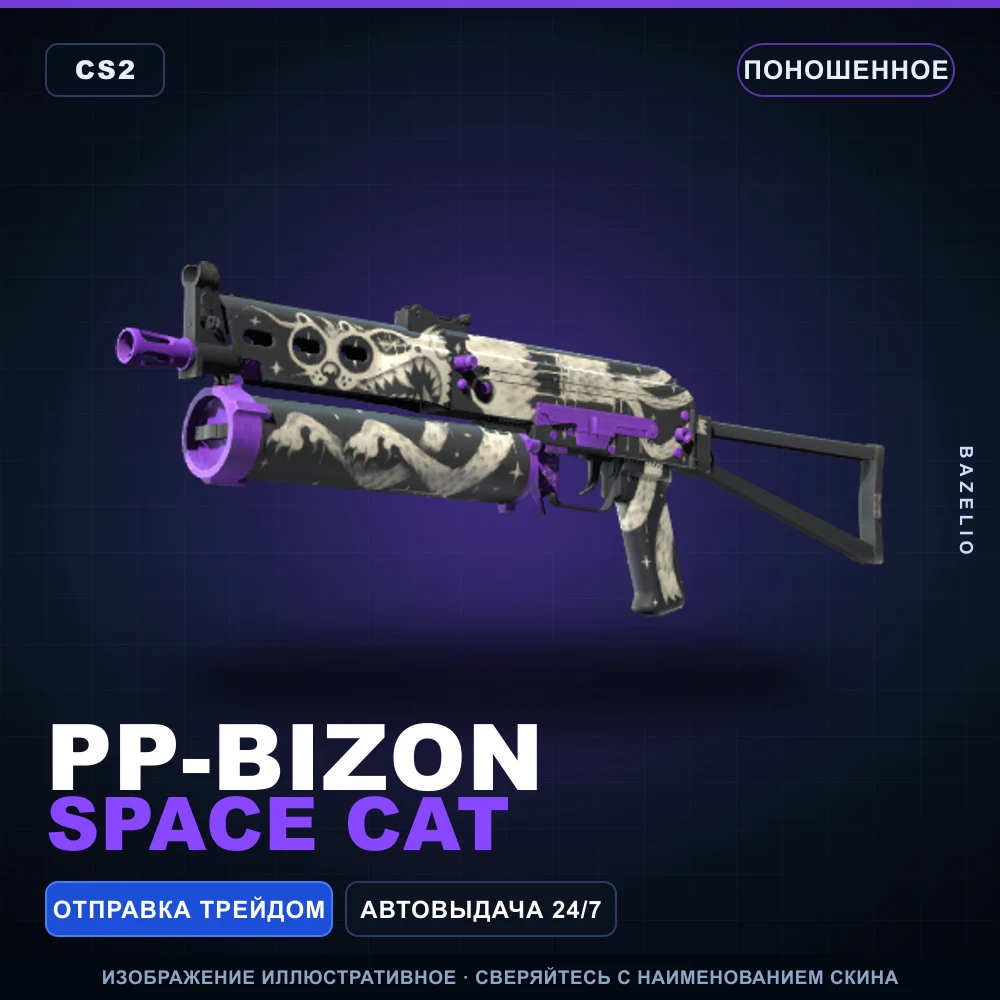 PP-Bizon | Space Cat | Well-Worn