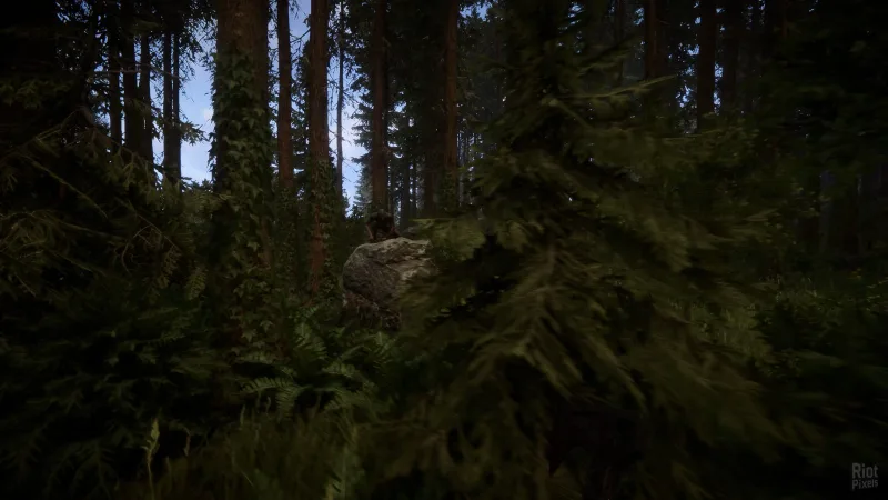 Sons of the Forest — игра подарком в Steam для РФ, Беларуси, Казахстана и Украины
